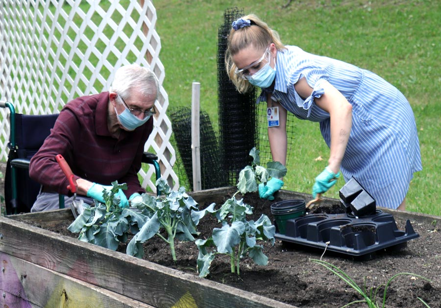 elderly and younger individuals plant garden beds