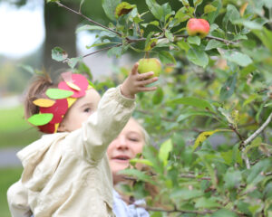 Child picking apples at MCC